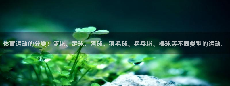 凯发官网下载平台注册：体育运动的分类：篮球、足球、网
