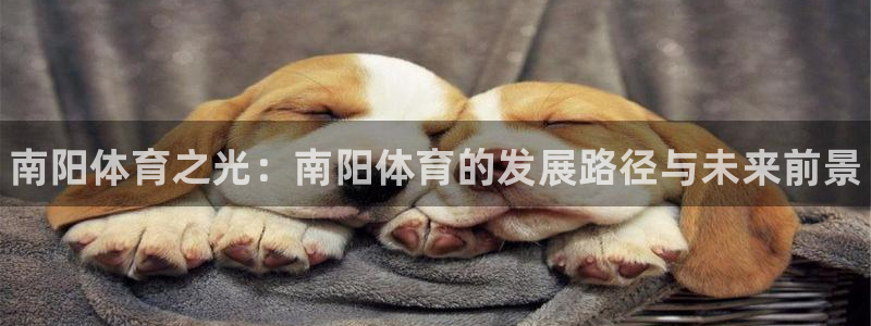凯发官网下载：南阳体育之光：南阳体育的发展路径与未来