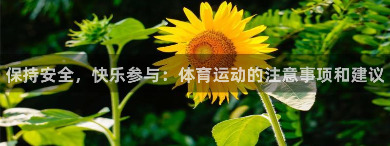 凯发官网下载招商电话