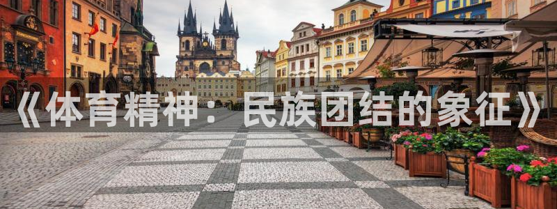 凯发官网下载平台是正规平台吗：《体育精神：民族团结的
