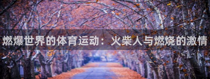 凯发官方正版app神州