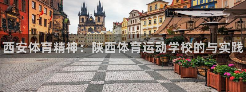 德国凯发官方正版app集团：西安体育精神：陕西体育运动学校的