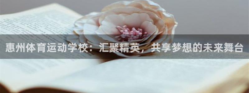 凯发官网下载平台注册流程图：惠州体育运动学校：汇聚精英，共享