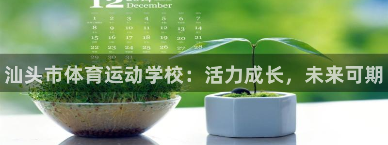 凯发官网下载平台：汕头市体育运动学校：活力成长，未来可期