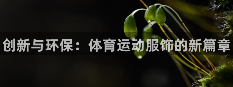 凯发官方正版app娱乐平台：创新与环保：体育运动服饰的新篇章