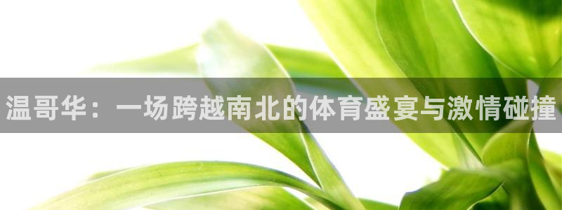 凯发官方正版app集团官网首页：温哥华：一场跨越南北的体育盛