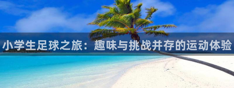 凯发官网下载平台注册要钱吗：小学生足球之旅：趣味与挑