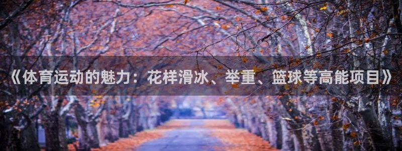 凯发官网下载平台APP：《体育运动的魅力：花样滑冰、举重、篮