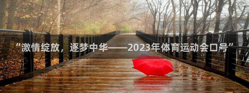 凯发官方集团官网：“激情绽放，逐梦中华——2023年体育运动