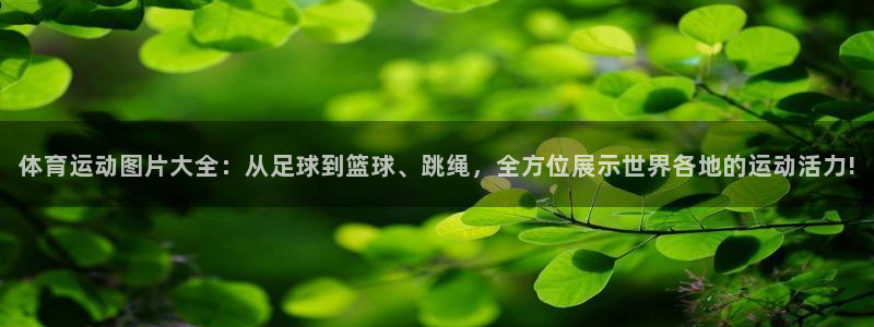 海南凯发官网下载：体育运动图片大全：从足球到篮球、跳绳，全方