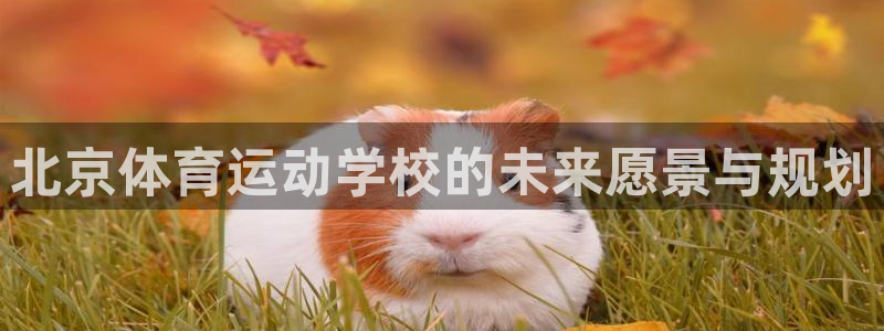 凯发官网下载官方客服电话：北京体育运动学校的未来愿景与规划