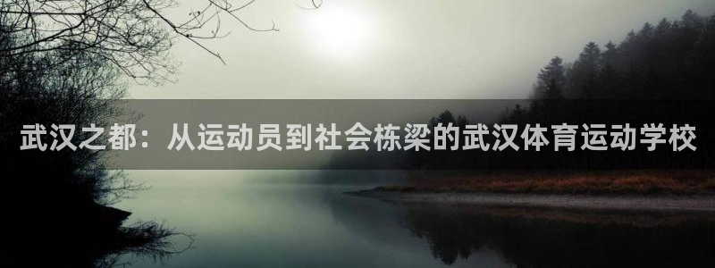 凯发官网下载平台注册流程视频：武汉之都：从运动员到社