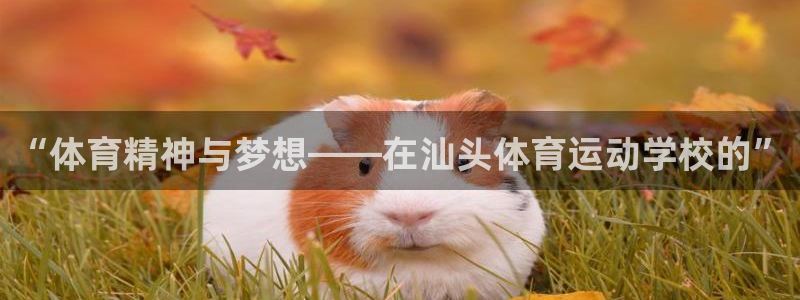 凯发官网下载平台注册流程视频：“体育精神与梦想——在
