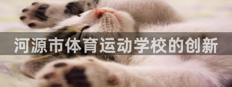 凯发官方正版app集团官网首页网址：河源市体育运动学校的创新