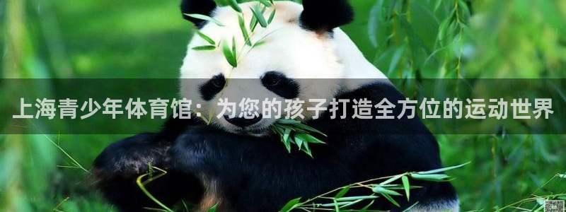 凯发官网下载招商电话地址是多少：上海青少年体育馆：为