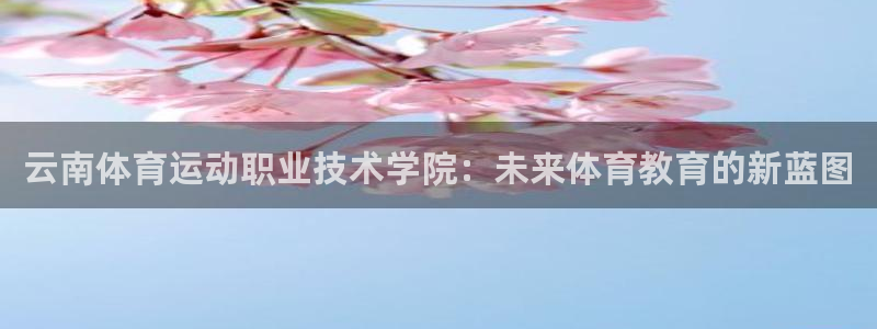 凯发官网下载招商电话地址：云南体育运动职业技术学院：
