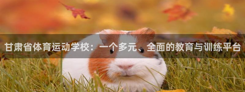 凯发官网下载软件：甘肃省体育运动学校：一个多元、全面的教育与