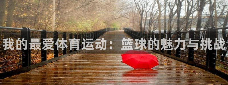 凯发官方正版app娱乐代理怎么样：我的最爱体育运动：