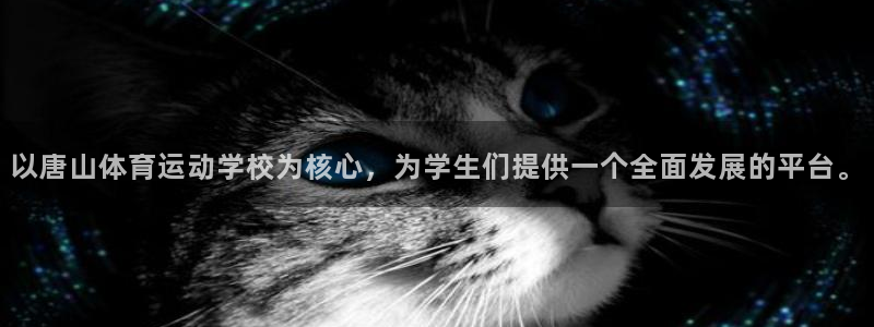 凯发官方正版app官方