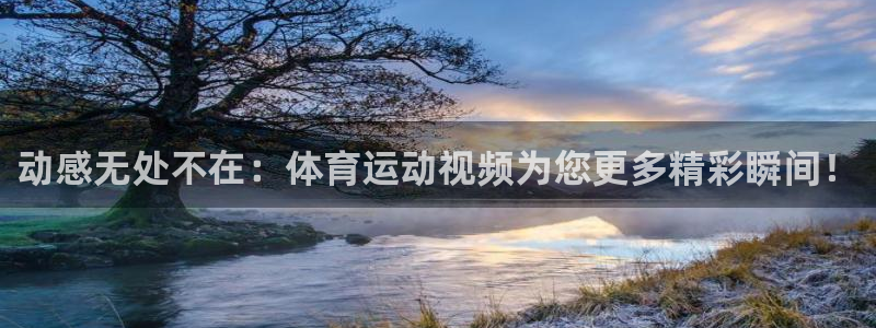 凯发官方正版app集团官网首页：动感无处不在：体育运动视频为