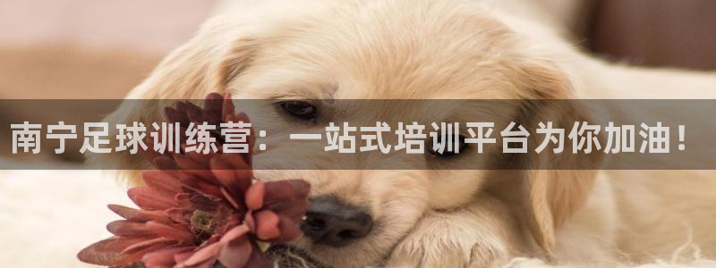 凯发官方正版app娱乐网站：南宁足球训练营：一站式培训平台为