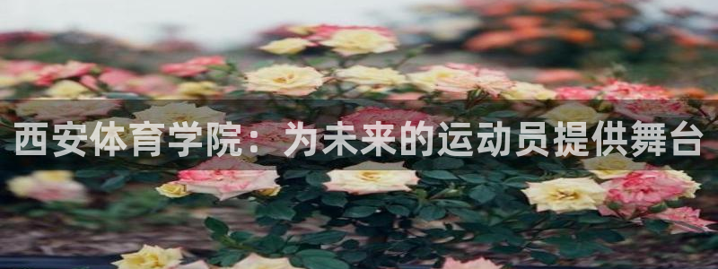 凯发官网下载娱乐：西安体育学院：为未来的运动员提供舞台