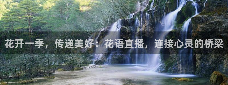蓝鲸交警直播：花开一季，传递美好：花语直播，连接心灵的桥梁