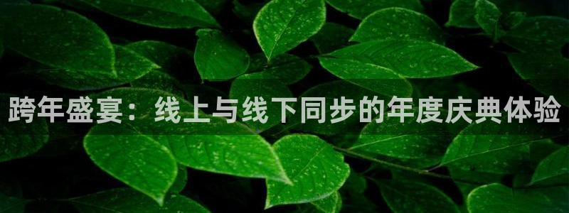 蓝鲸直播体育免费观看：跨年盛宴：线上与线下同步的年度庆典体验
