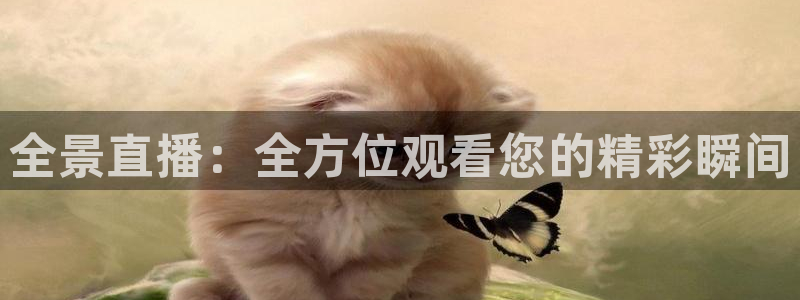 蓝鲸直播足球