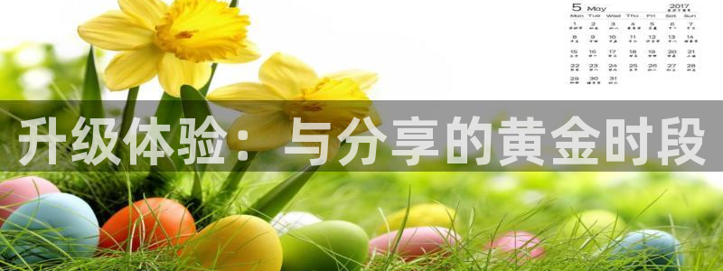 nba蓝鲸直播：升级体验：与分享的黄金时段